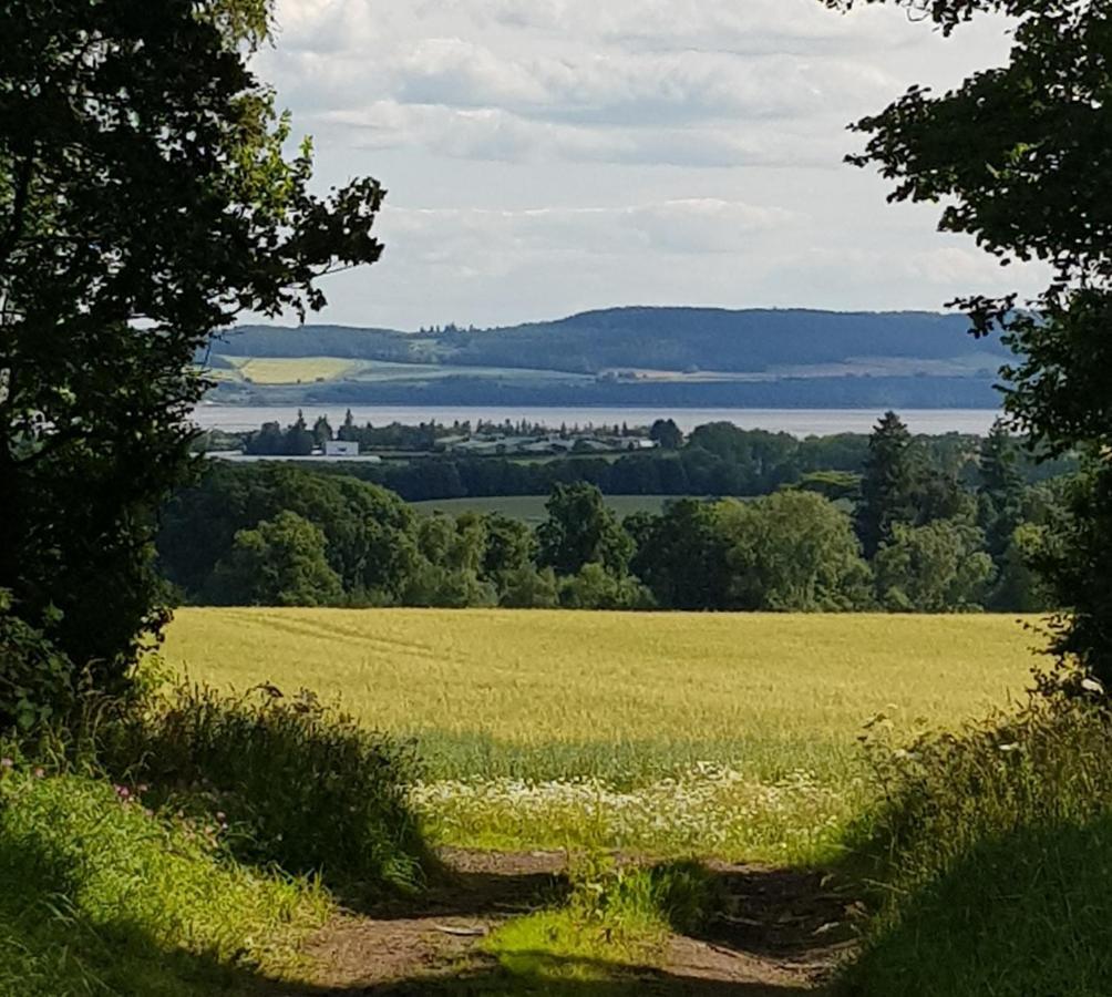 Westwood Cottage Dundee Bagian luar foto